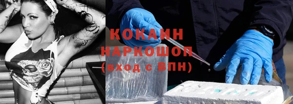 молекула духа Богданович