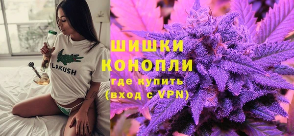 молекула духа Богданович