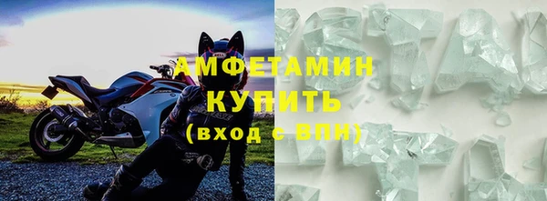 индика Богородицк