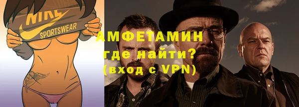 индика Богородицк