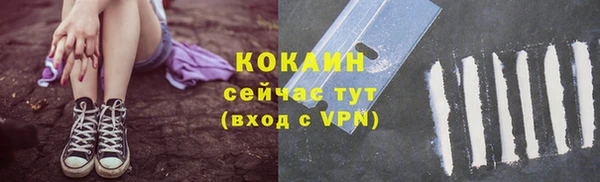 индика Богородицк
