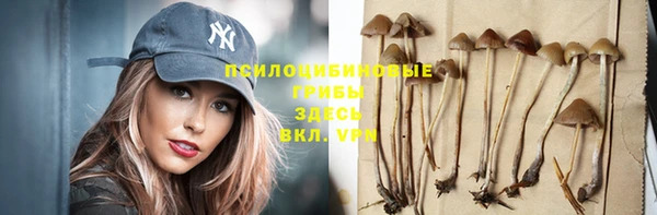 индика Богородицк