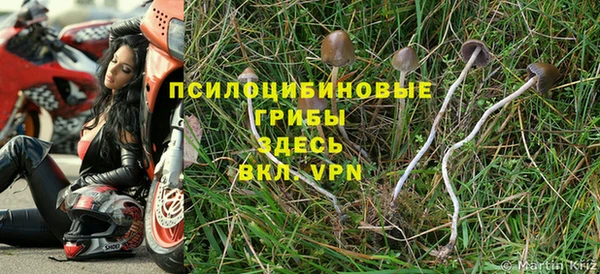 молекула духа Богданович