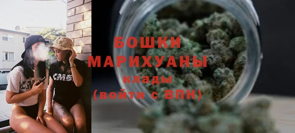 индика Богородицк