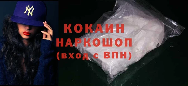 молекула духа Богданович
