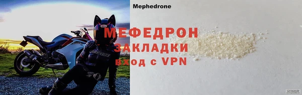 индика Богородицк
