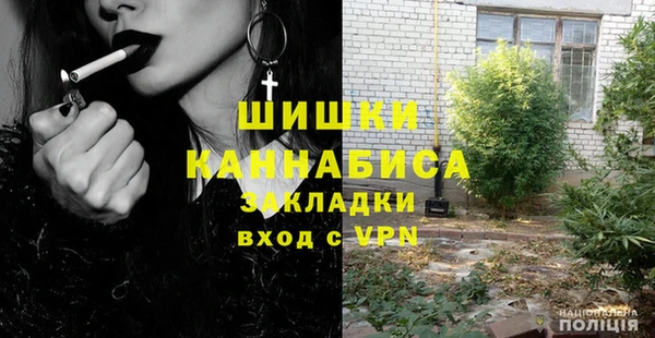 индика Богородицк