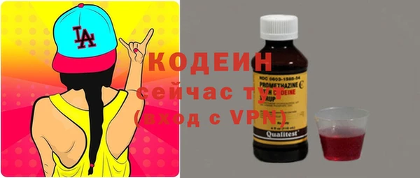 молекула духа Богданович