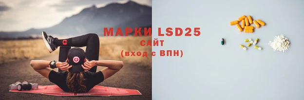 индика Богородицк