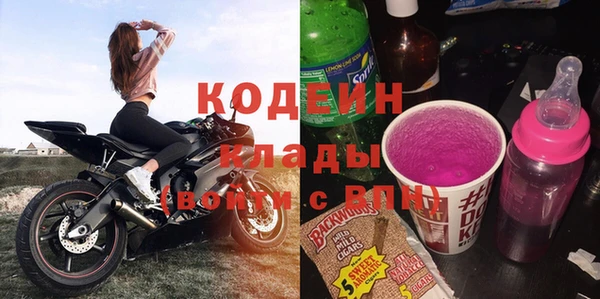 молекула духа Богданович