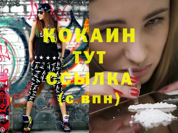 индика Богородицк