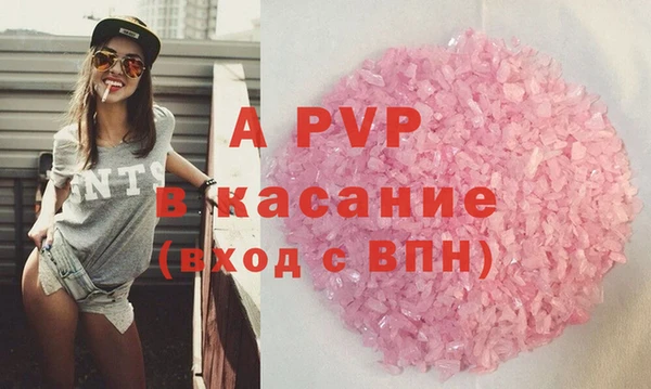 молекула духа Богданович