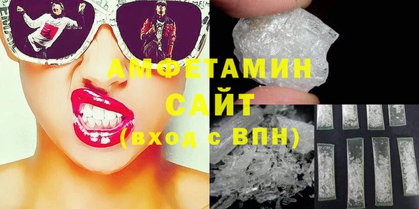 индика Богородицк