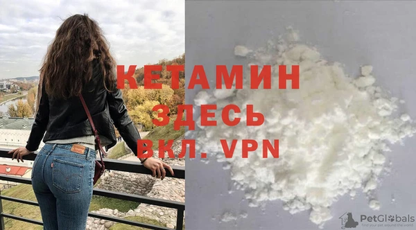 индика Богородицк