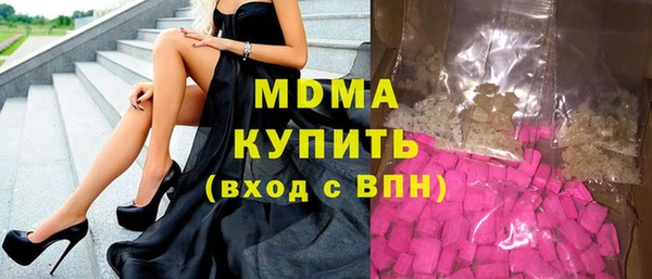 индика Богородицк