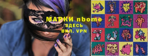 молекула духа Богданович