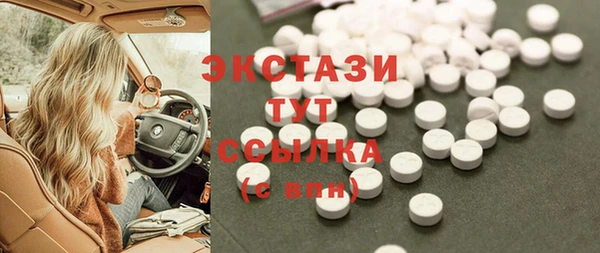 молекула духа Богданович