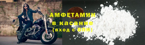 индика Богородицк