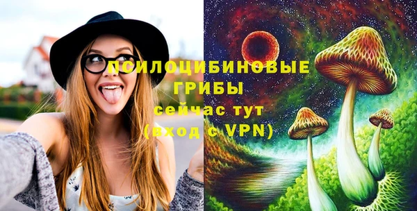 молекула духа Богданович