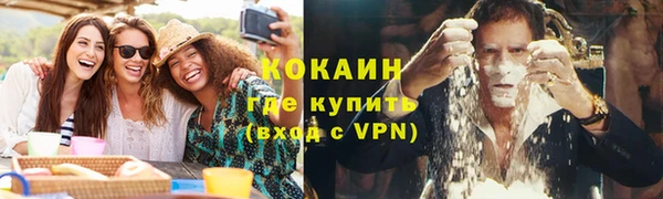 молекула духа Богданович