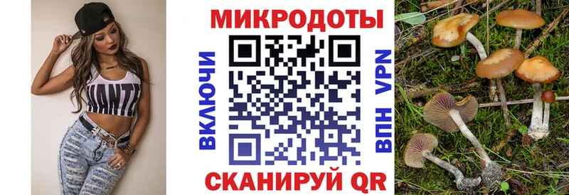 Галлюциногенные грибы прущие грибы  ОМГ ОМГ tor  Михайловка 
